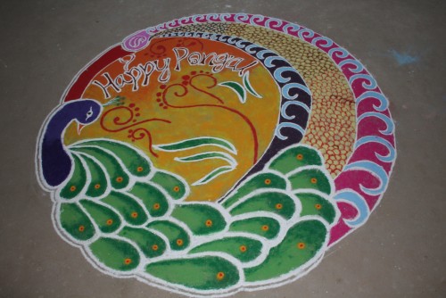 Pongal celebrations